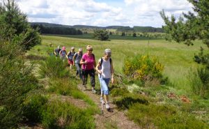 Nos marcheuses sur le sentier des Tourbières du Longéroux