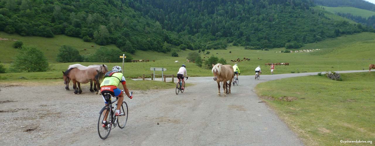 CycloRandoBrive | Cévennes