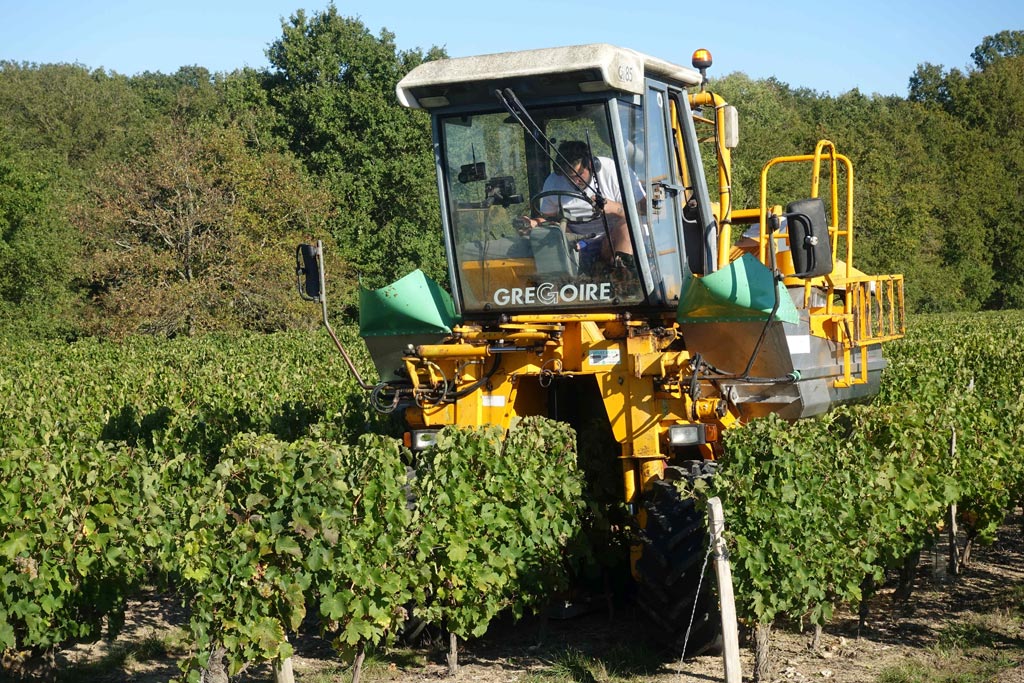 Vendanges mécanisées