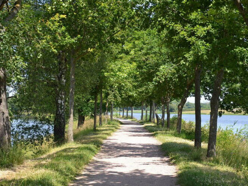 L'allée des Soupirs-entre Montchanin et Saint-Laurent @DR