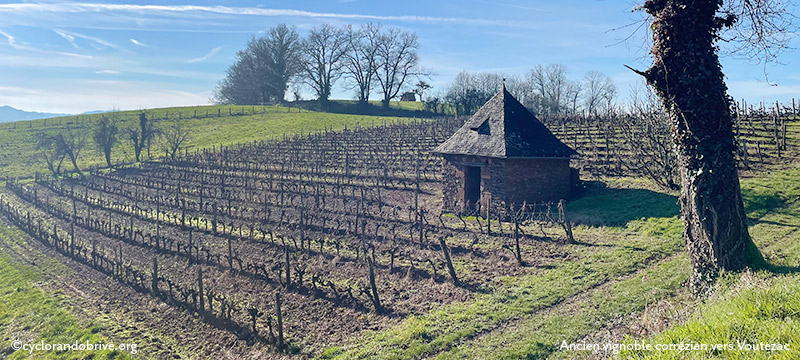 Ancien vignoble corrézien vers Voutezac